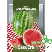 Арбуз Астраханский – семена Seedera купить