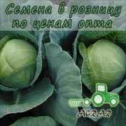 Купить семена капусты белокочанной Аванте  F1 в Украине