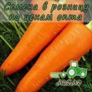 Морковь Болтекс семена - поздний сорт. Clause (Франция)