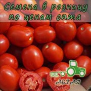 Купить семена томатов Jag 8810 F1 в Украине