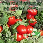 Купить семена томатов KS 720 F1 в Украине
