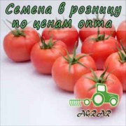 Купить семена томатов Мамстон F1