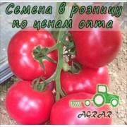 Купить семена томатов Мануса F1