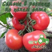 Купить семена томатов Мей Шуай F1