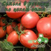 Купить семена томатов Шейк