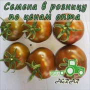 Купить семена томатов Силиври F1