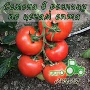 Купить семена томатов TS 04 - 60017 F1