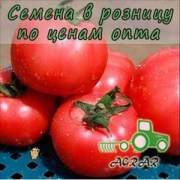 Купить семена томатов VP-2 F1
