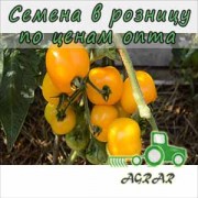 Купить семена томатов Янтарное Сердце F1
