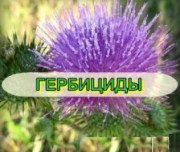 Купить гербициды в Украине