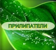 Купить прилипатели ПАВ поверхностно-активные вещества в Украине