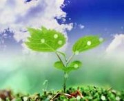 Купить стимуляторы и регуляторы роста растений в Украине