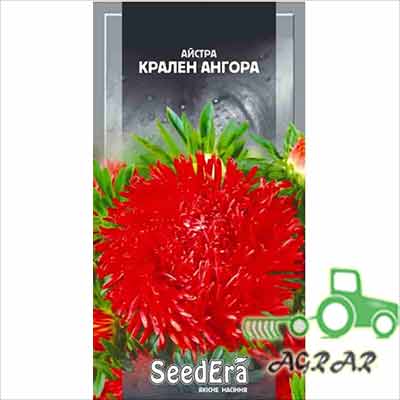 Семена цветов астры Краллен Ангора Seedera