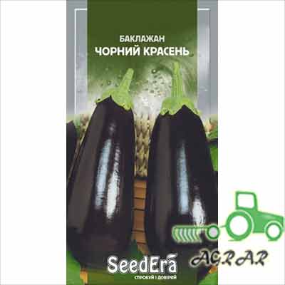 Баклажан Черный красавец – семена Seedera купить