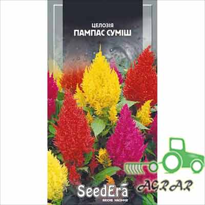 Семена цветов Целозия перистая Пампас смесь Seedera