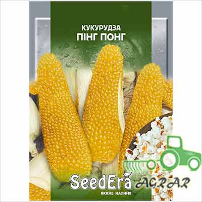 Кукуруза попкорн Пинг Понг – семена Seedera купить