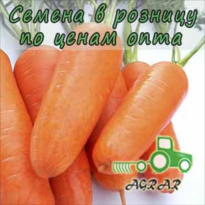 Морковь Кампино семена - среднеспелый сорт. Satimex (Германия)