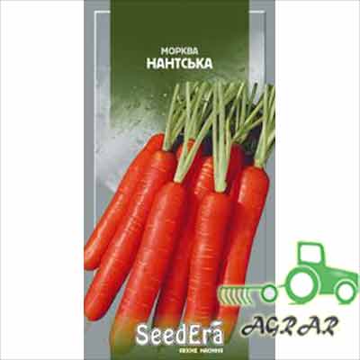 Морковь Нантская – семена Seedera купить