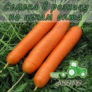 Морковь Сатурно F1 семена - ранний гибрид. Clause (Франция)