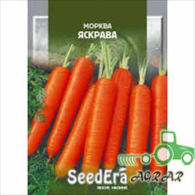 Морковь Яскрава – семена Seedera купить