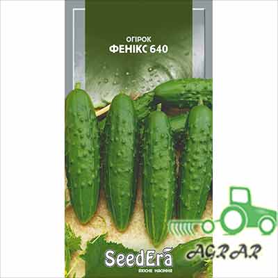 Огурец Феникс 640 – семена Seedera купить