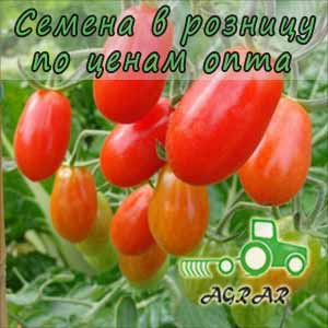 Купить семена томатов 1510 F1