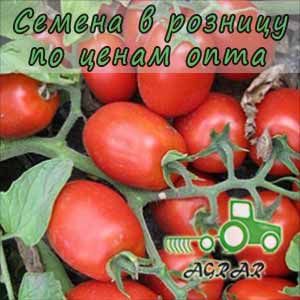 Купить семена томатов 3402 F1