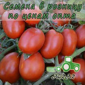 Купить семена томатов 9905 F1