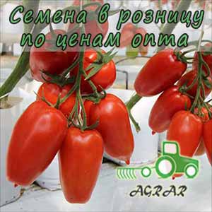 Купить семена томатов Айдар F1