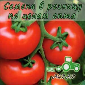 Купить семена томатов Аламина F1