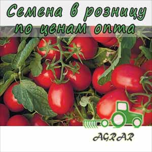 Купить семена томатов Астерикс F1