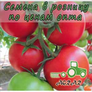 Купить семена томатов Байконур F1