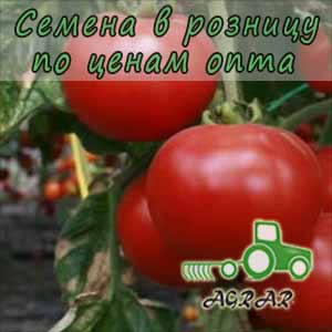 Купить семена томатов Белла Роса F1