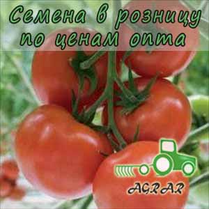 Купить семена томатов Беллавиза F1