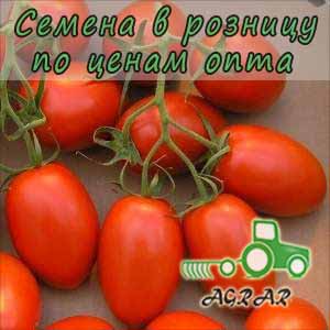 Купить семена томатов Дино F1