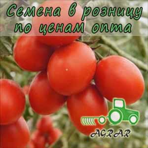 Купить семена томатов Дуал Эрли F1