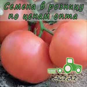 Купить семена томатов Эсмира F1