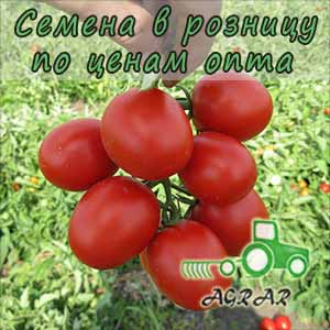 Купить семена томатов Грандо F1