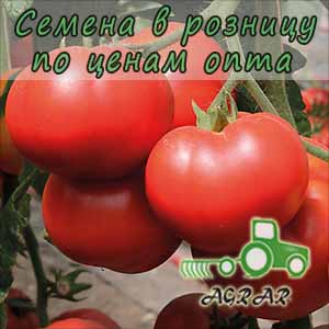 Купить семена томатов Капонет F1