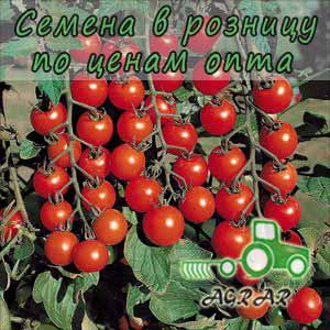 Купить семена томатов КS 4559  F1