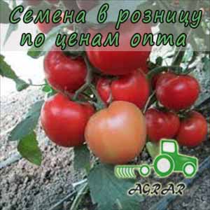 Купить семена томатов Квалитет (Т97082) F1