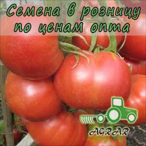 Купить семена томатов Розан F1