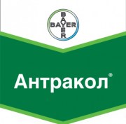Антракол купить 30 г цена в Украине