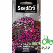 Семена цветов Аубриета смесь Seedera