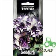 Семена цветов Датура махровая фиолетовая Seedera