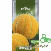 Дыня Эфиопка – семена Seedera купить