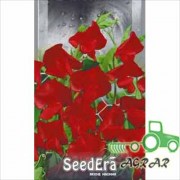 Семена цветов Горошек душистый красный Seedera