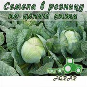 Купить семена капусты белокочанной Акира F1 в Украине