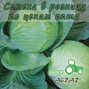 Купить семена капусты белокочанной Аквилон F1 в Украине