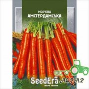 Морковь Амстердамская – семена Seedera купить